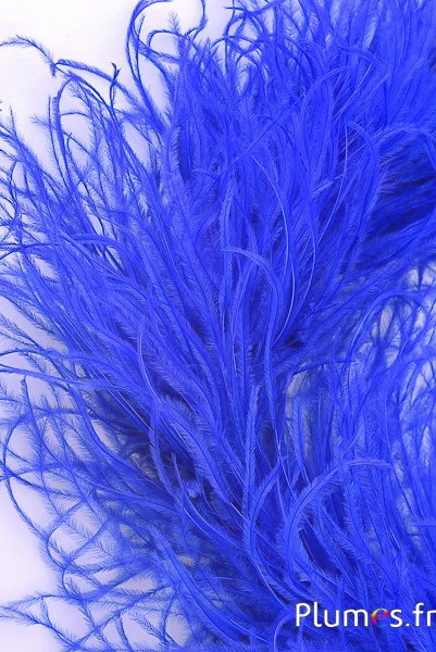 Autruche mèche - 10 cm - bleu